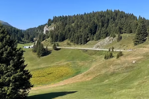 Baita rudere chalet rustico terreno