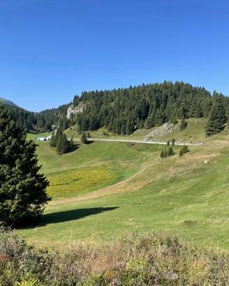 Baita rudere chalet rustico