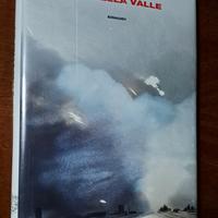"Giu' Nella Valle" di Paolo Cognetti 