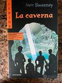 la caverna