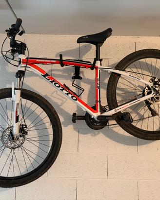 Bicicletta Liotto