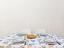 Immagine 16