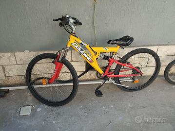bicicletta 