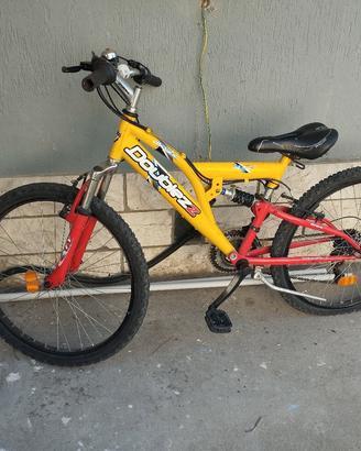bicicletta 