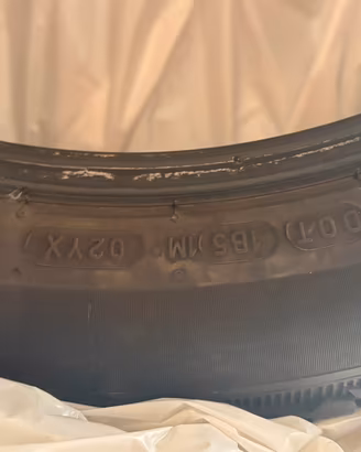 Michelin SUV invernali X3/X4