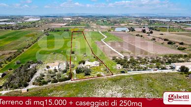 Terreno Agricolo Noto [cod. rif6042943VRG]