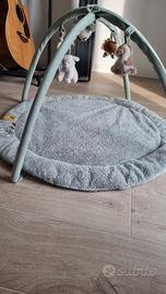 Palestrina neonato Little Dutch