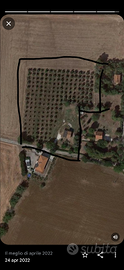 Terreno con annesso agricolo