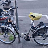 Bicicletta elettrica