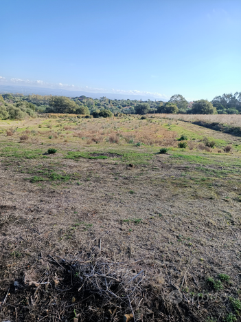 Terreno agricolo loc. Sedanus . Villacidro