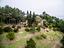 Immagine 27