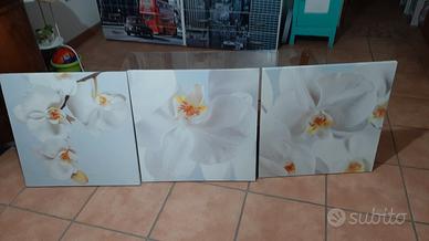 quadri su tela cm. 57x57