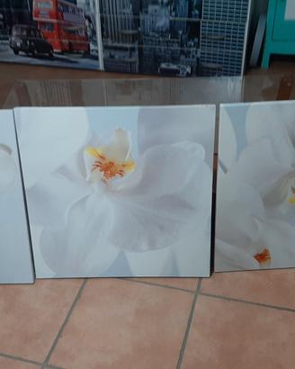 quadri su tela cm. 57x57