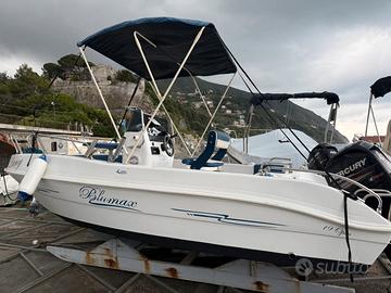 Barca Open 19 blumax + mercury F40Pro + motorguide