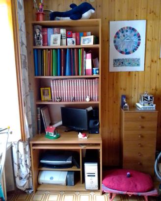 Mobili porta computer