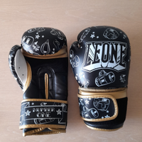 Kick boxing attrezzature Leone