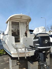 Quicksilver Pilothouse 540 con Mercury 75 Optimax
