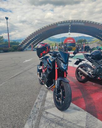 Honda Hornet 750 (A2)