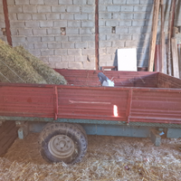 Rimorchio agricolo bicchi 50 quintali