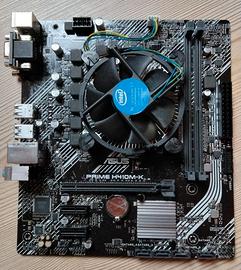 Scheda Madre Asus H410M-K + Pentium G6400