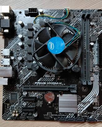 Scheda Madre Asus H410M-K + Pentium G6400