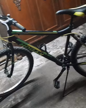 bici Hogan 