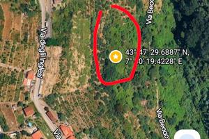 terreno con indice costruzione 