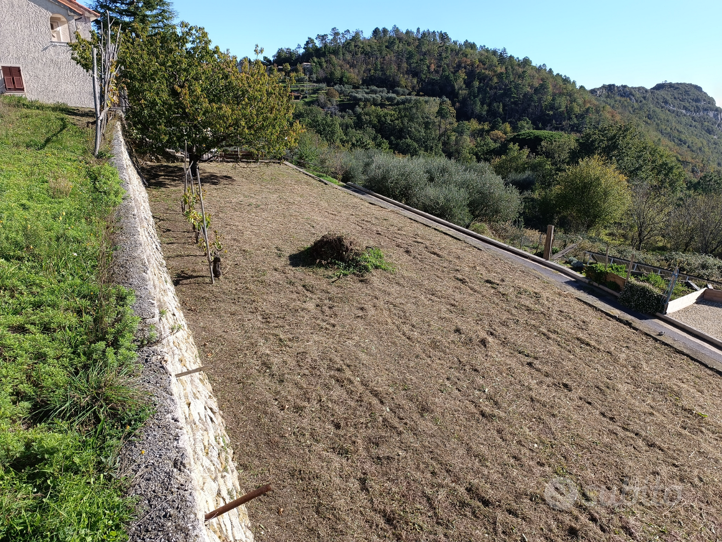 Terreno edificabile con progetto approvato - Vista 3