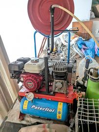 abbacchiatore  olive