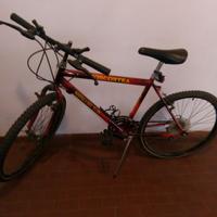 bicicletta montabike viscontea 