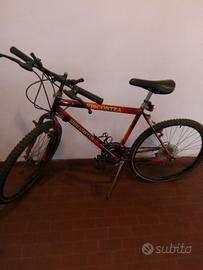 bicicletta montabike viscontea 