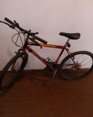 bicicletta montabike viscontea 