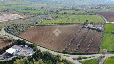TER. AGRICOLO A MOSCIANO SANT'ANGELO