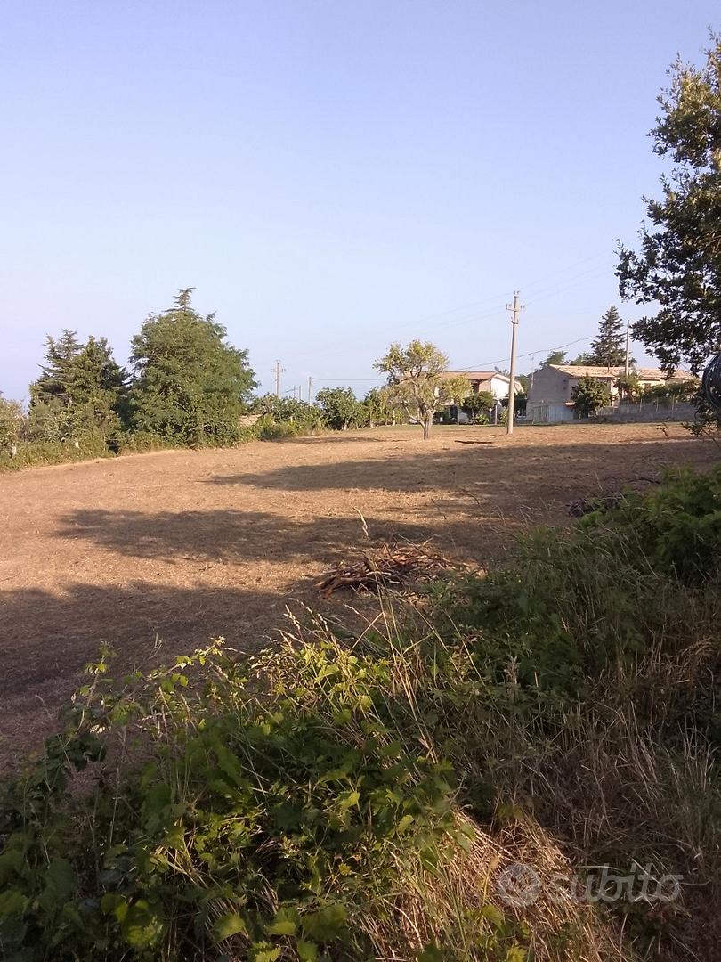 Terreno agricolo - Vista 4