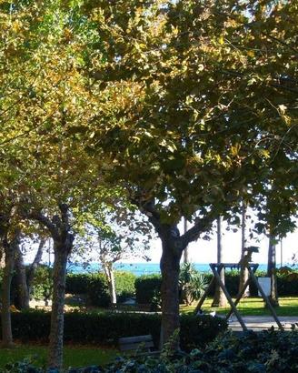 Andora, trilocale con giardino, su parco e mare