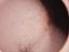 Immagine 17