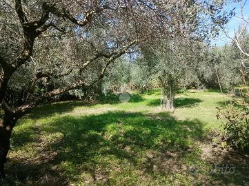 TER. AGRICOLO A MARSALA