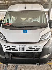 Fiat Ducato - Trasporto Disabili - Km0