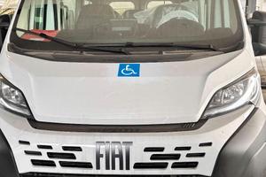 Fiat Ducato - Trasporto Disabili - Km0