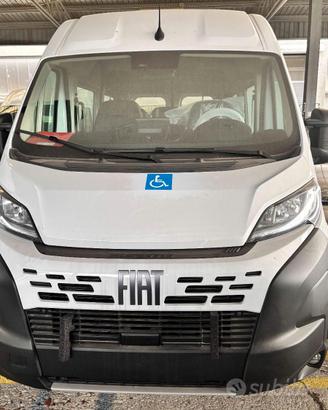 Fiat Ducato - Trasporto Disabili - Km0