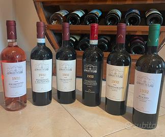 Vino primitivo di manduria - selezione top