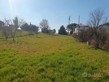Terreno Agricolo con magazzino.