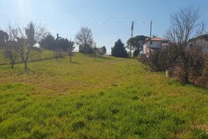 Terreno Agricolo con magazzino.