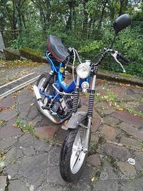 Tubone negrini harward anno 1982