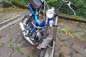 Tubone negrini harward anno 1982