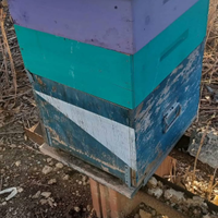 Arnie per apicoltura