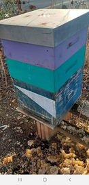 Arnie per apicoltura