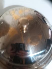 cloche in acciaio 18/10 Freddi 