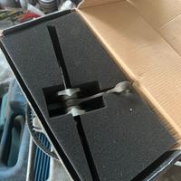 Albero Carenzi Piaggio