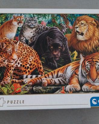 Puzzle 500 pezzi